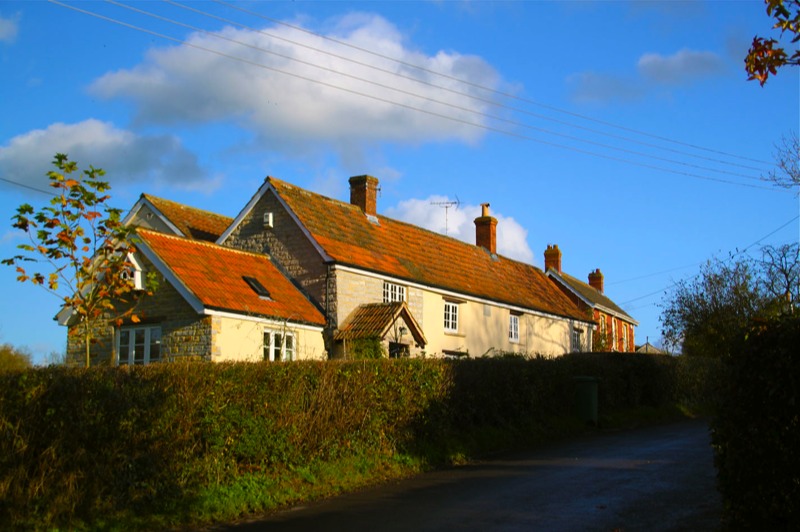 Stacks Image 1007